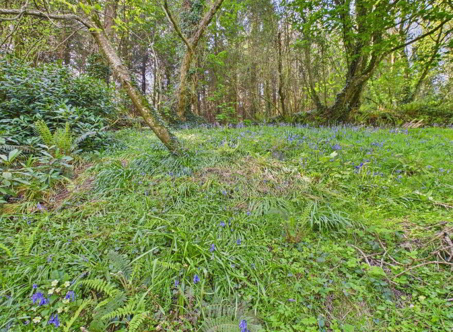 Edenvale Cottage, Castlebridge, Y35NF85