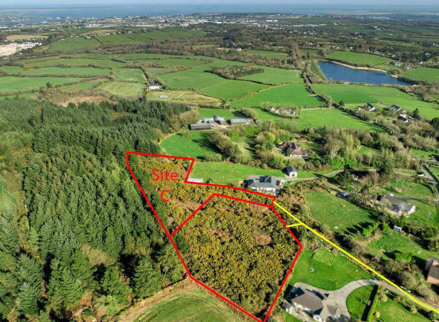 Site ', C' At Colestown, Coolree