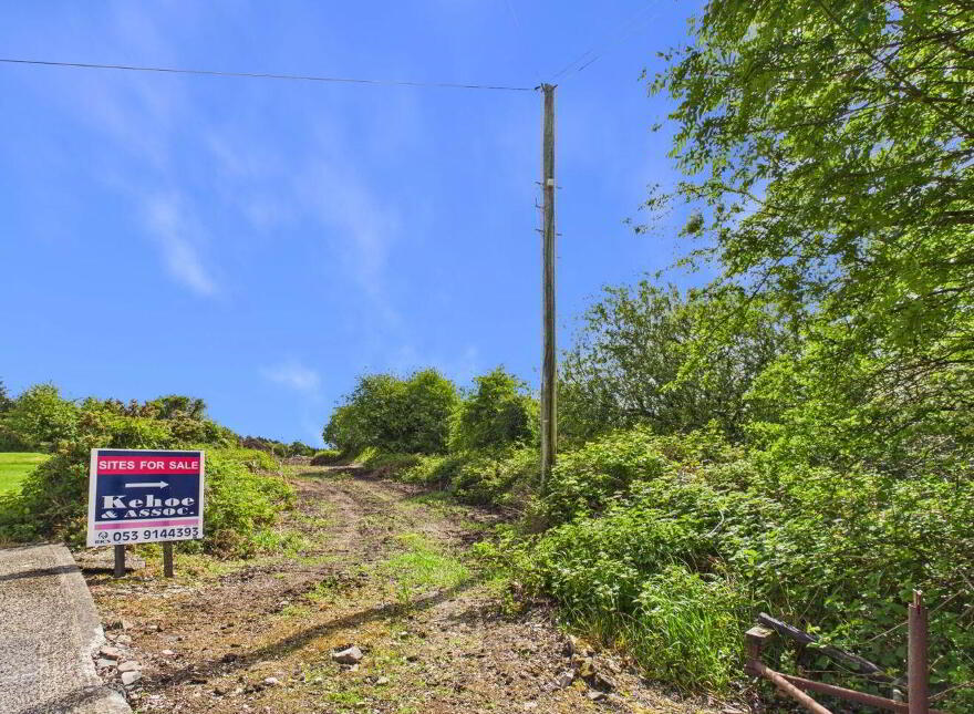 Site ', C' At Colestown, Coolree