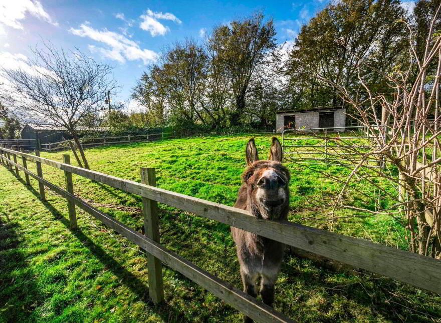 Highfield House, Kilcorral, Castlebridge, Y35YA48
