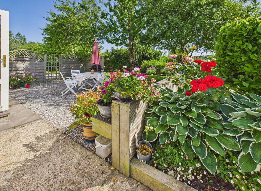 Summerville, Tomgarrow, Adamstown, Y21F854