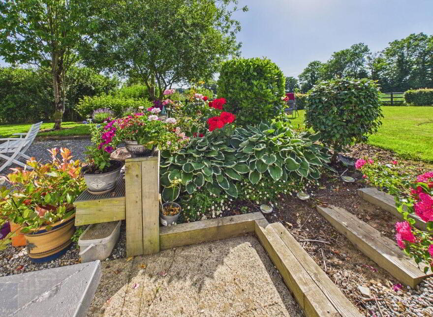 Summerville, Tomgarrow, Adamstown, Y21F854