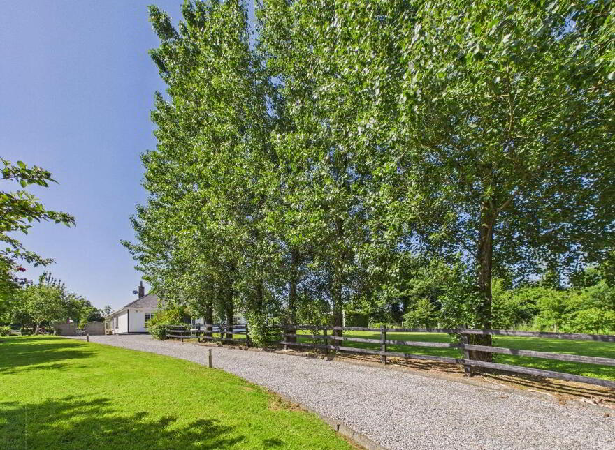 Summerville, Tomgarrow, Adamstown, Y21F854