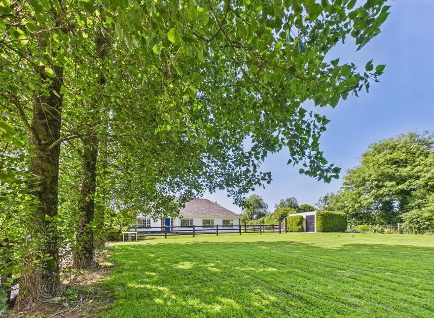 Summerville, Tomgarrow, Adamstown, Y21F854