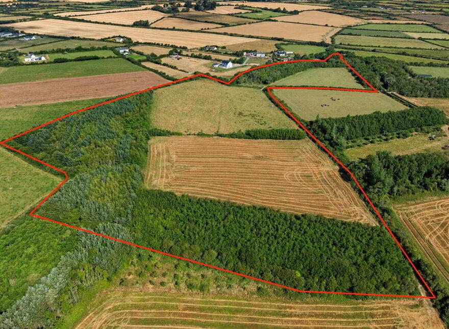 C. 8.78 Hectares (21, 70 Acres) At Nicharee, Duncormick