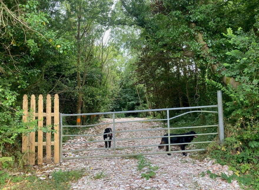C. 8.78 Hectares (21, 70 Acres) At Nicharee, Duncormick