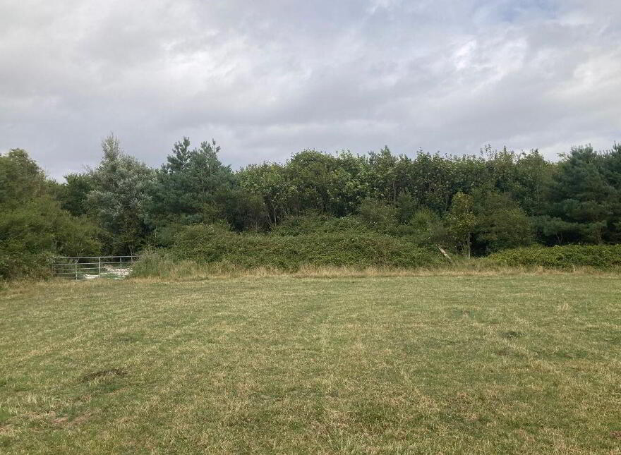 C. 8.78 Hectares (21, 70 Acres) At Nicharee, Duncormick
