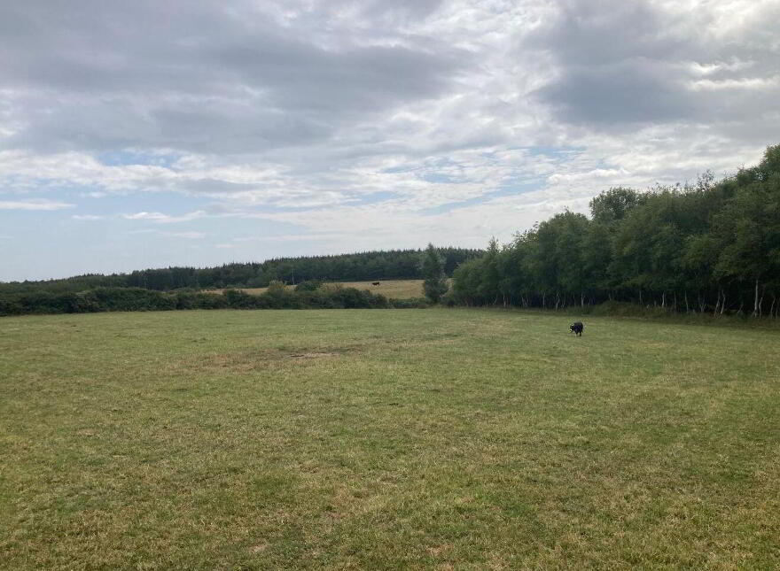 C. 8.78 Hectares (21, 70 Acres) At Nicharee, Duncormick