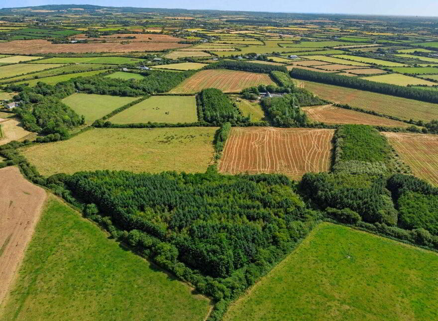 C. 8.78 Hectares (21, 70 Acres) At Nicharee, Duncormick