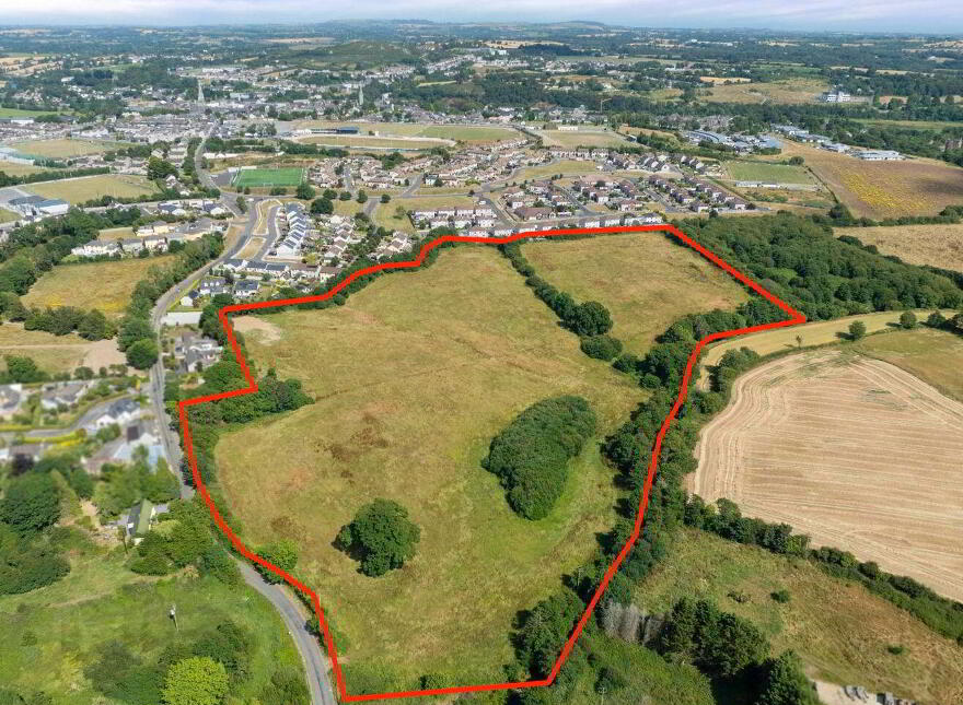 C. 8.7 Hectares / 21, 9 Acres At Carley' S Bridge, Enniscorthy