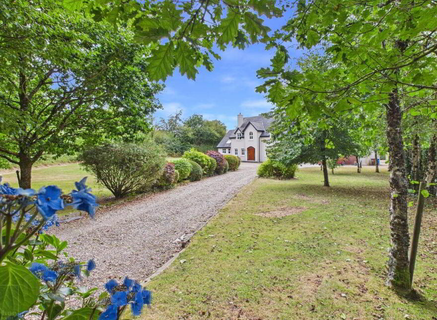 Tanglewood, Bulgan, Glynn, Y21WE19