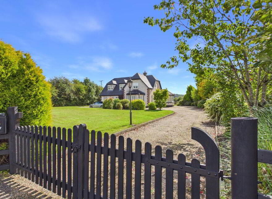Tomgarrow, Adamstown, Y21P782 photo
