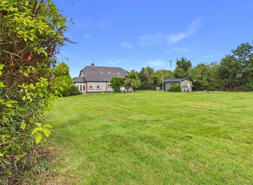 Tomgarrow, Adamstown, Y21P782