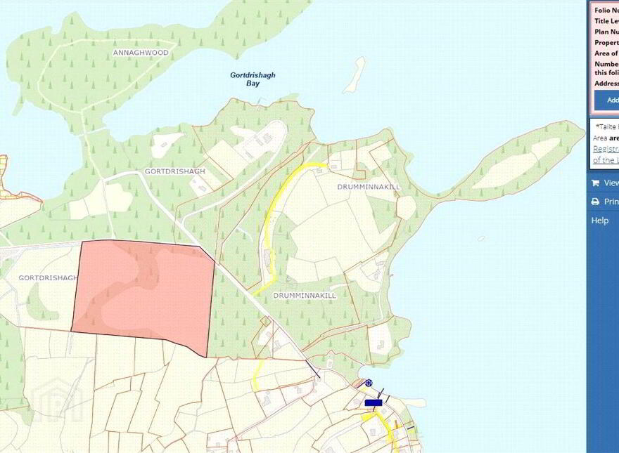 Gortdrishagh, Derrymoyle, Oughterard