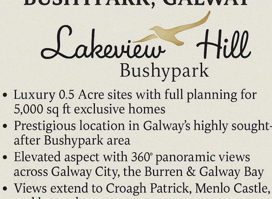 Lakeview Hill Sites, Barnacranny, Bushypark, Galway City