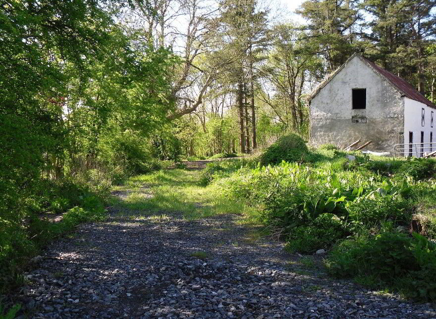 Palmhill House, Kiltrogue, Cregmore, Cregmore, H91XYX8