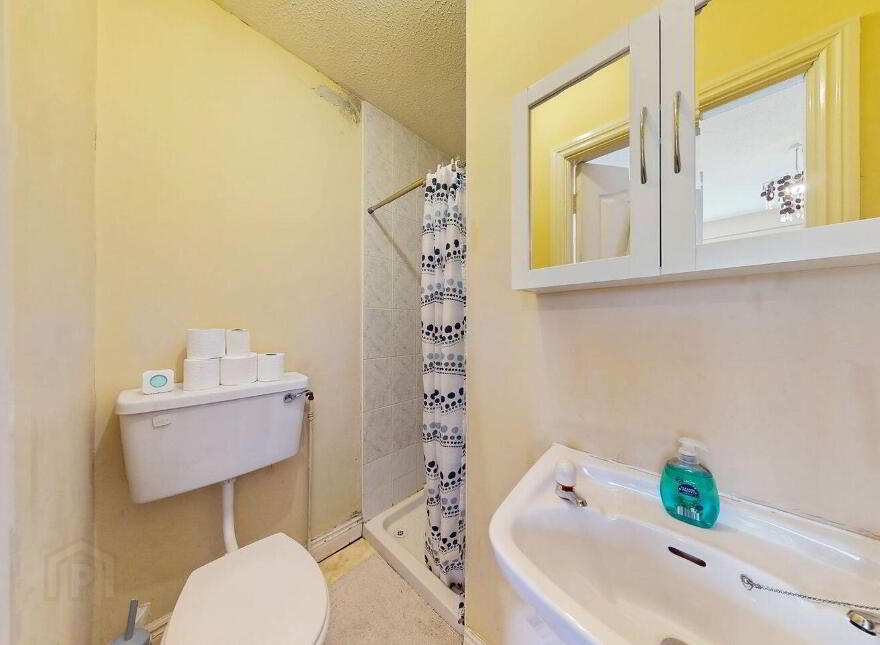 43 The Plains, Kildare, R51PH32