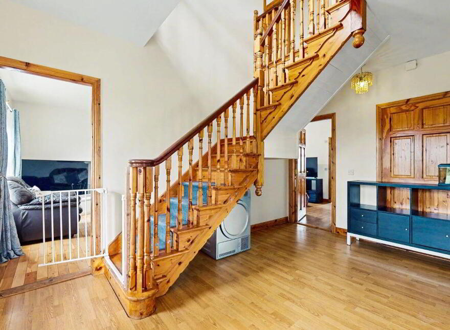 Coole, Ballyragget, R95E650
