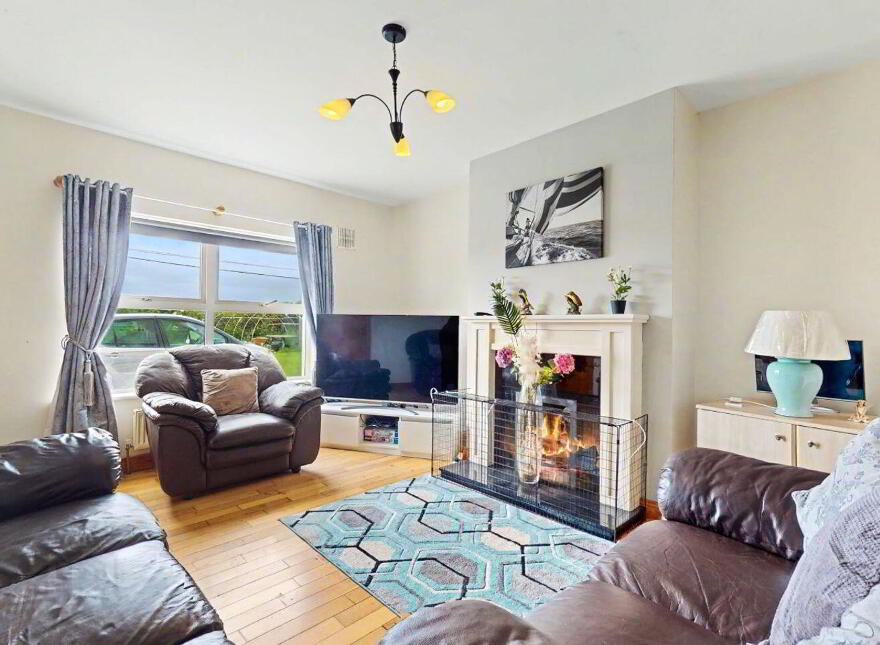 Coole, Ballyragget, R95E650