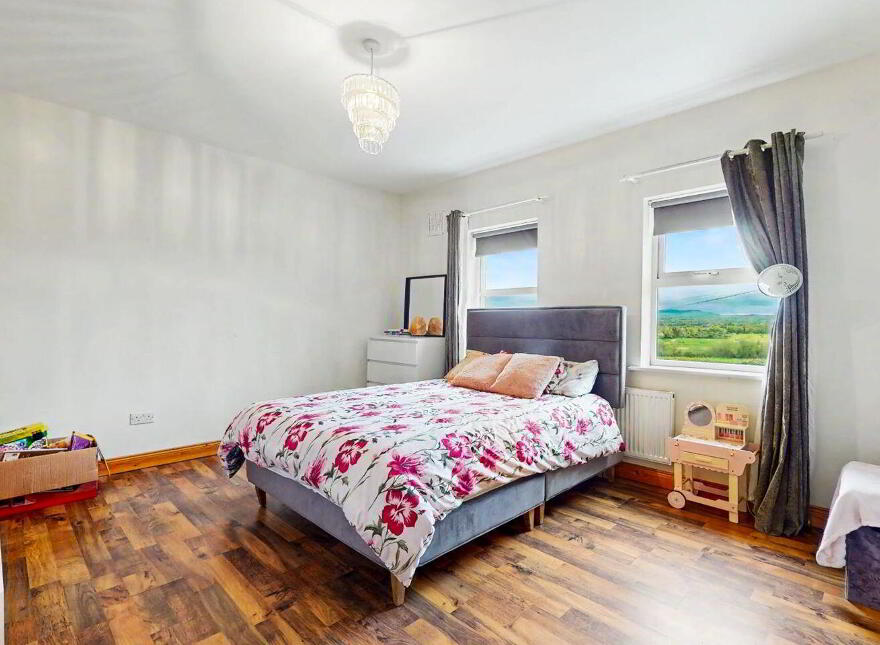 Coole, Ballyragget, R95E650