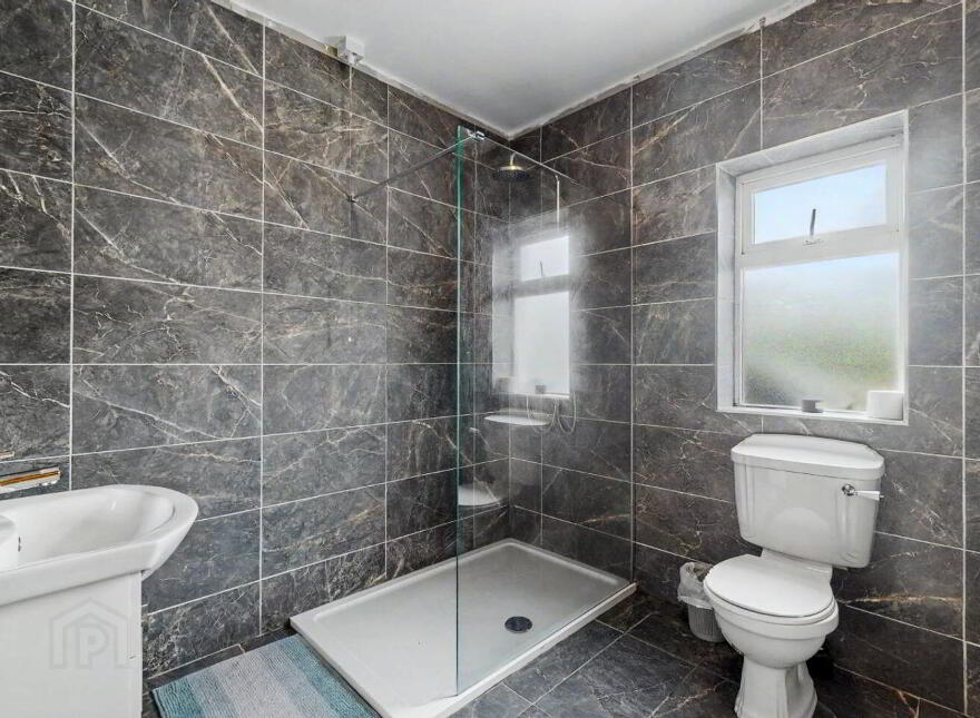 Coole, Ballyragget, R95E650
