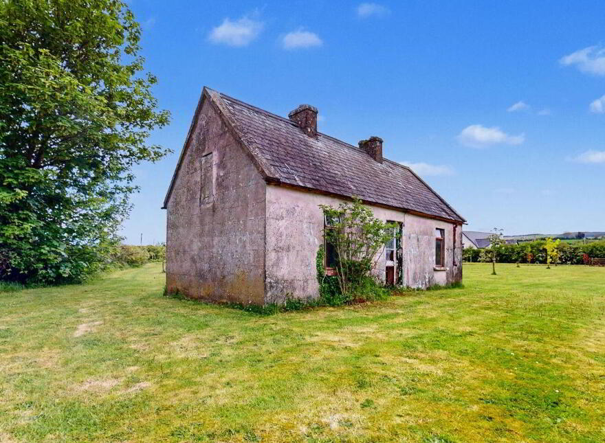 Coole, Ballyragget, R95E650