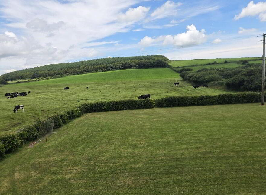 Glinny, Riverstick, P43V667