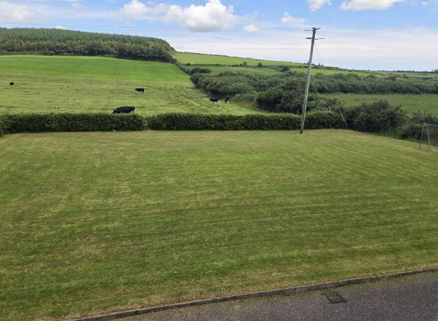 Glinny, Riverstick, P43V667