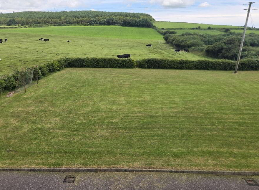 Glinny, Riverstick, P43V667