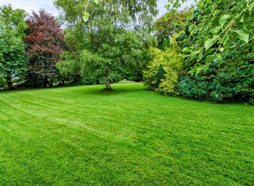 Old Park House, Claremorris, F12CR60