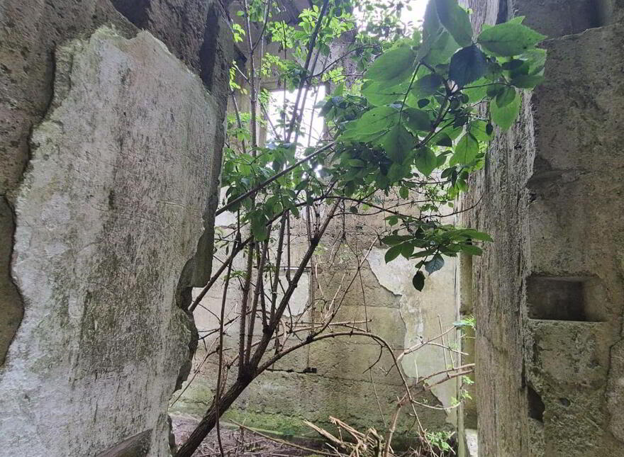 Kilmurry, Lissalway