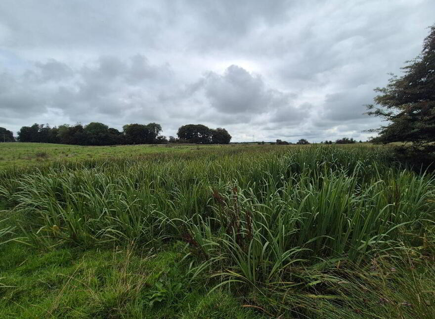 Kilmurry, Lissalway