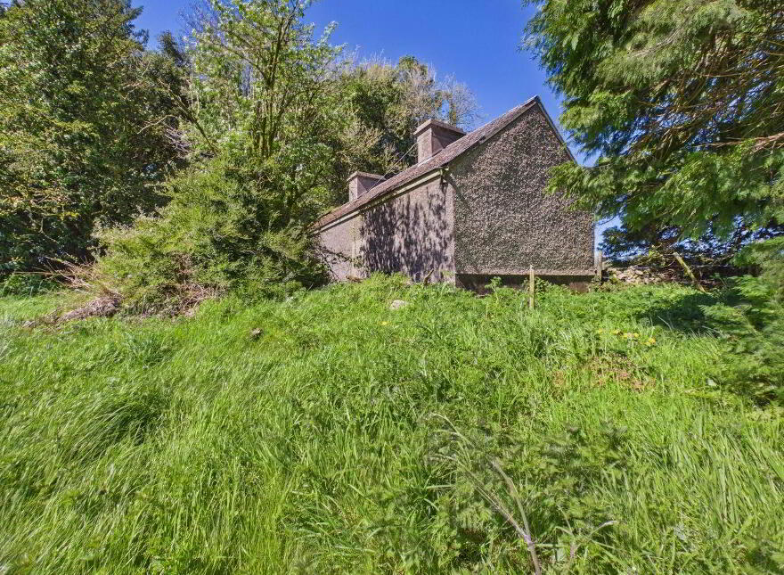 Carton, Elphin