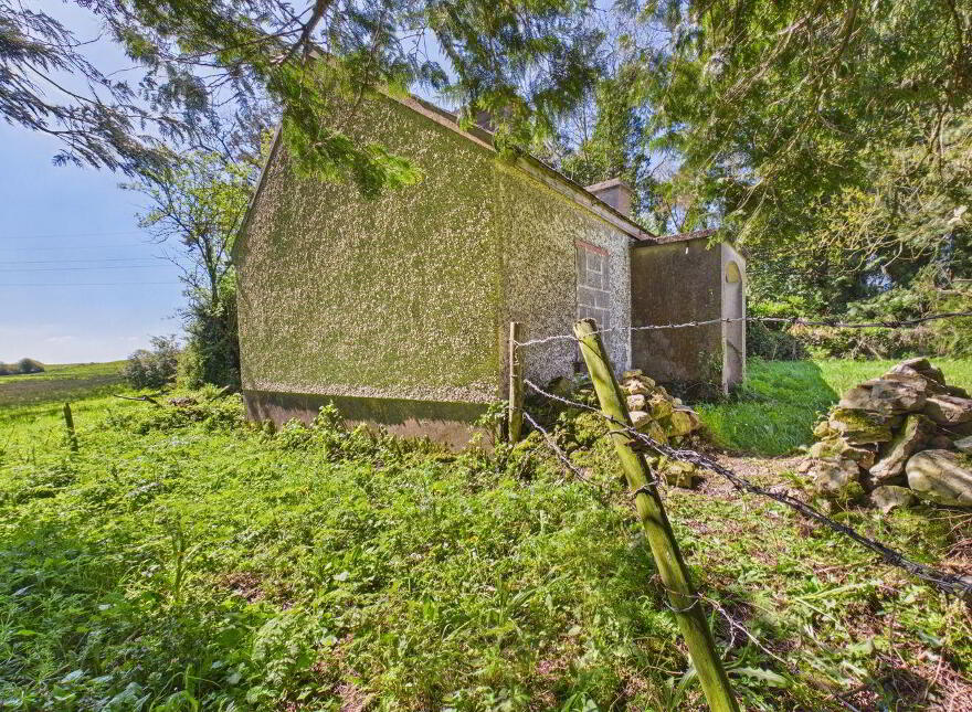 Carton, Elphin