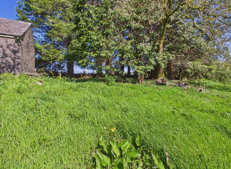 Residence On 21 Acres ( Approx.) At Carton, Elphin