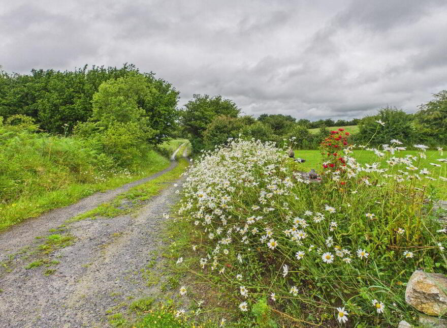 Mount Temple, Williamstown, N37A6W2