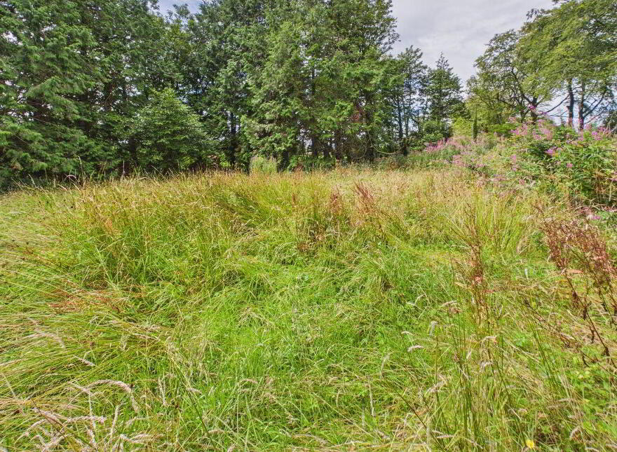 Slevin, Tulsk, F45XT44