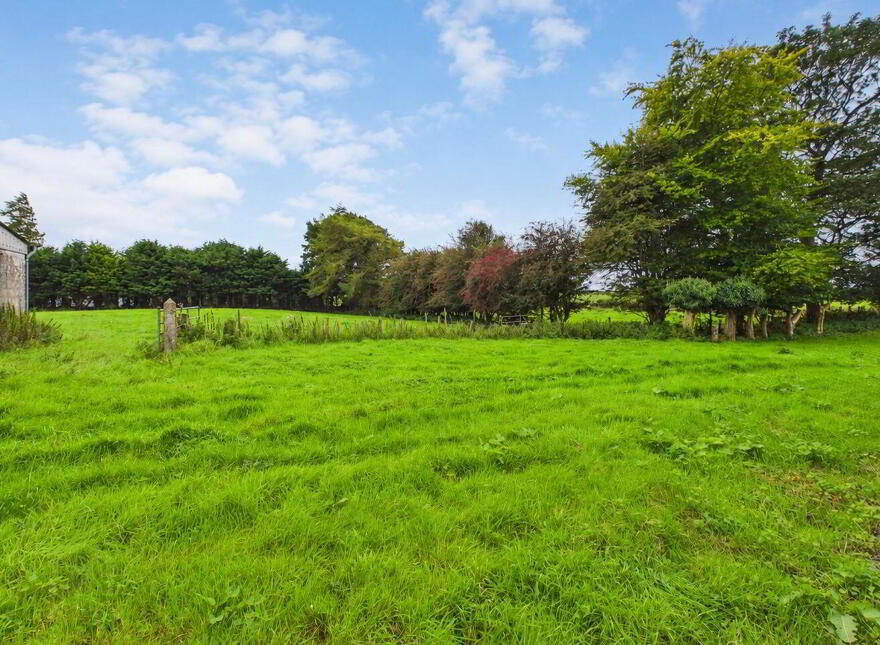 Lower Ballagh, Menlough, Killoscobe, H53W882