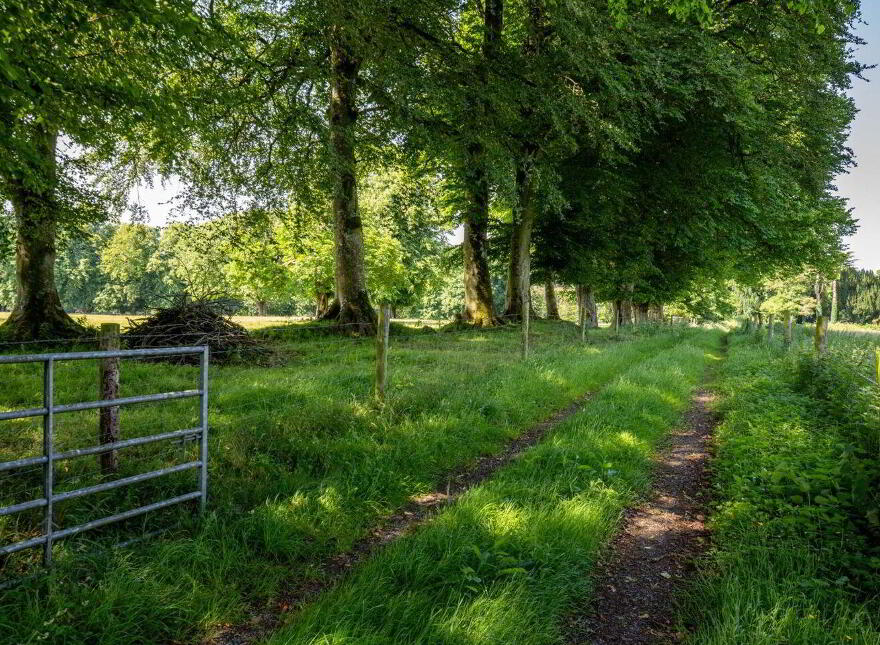 Kilmore House, Kilmore, Kildare, A83Y078