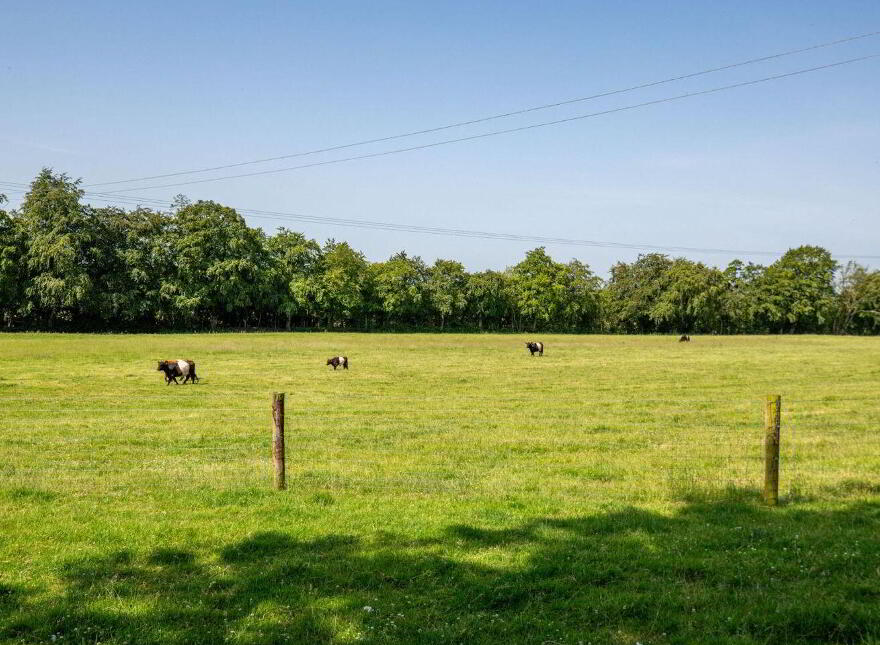 Kilmore House, Kilmore, Kildare, A83Y078