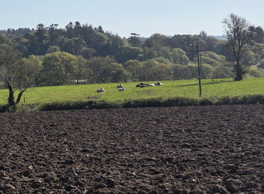 Forth View, Polldoon, Foulksmills, Y35P3K7