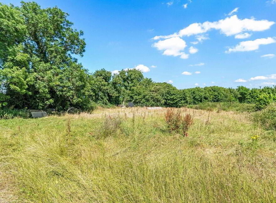 House On 4.6 Acres & Outbuilding, Carnisle, Kildalkey, C15R902