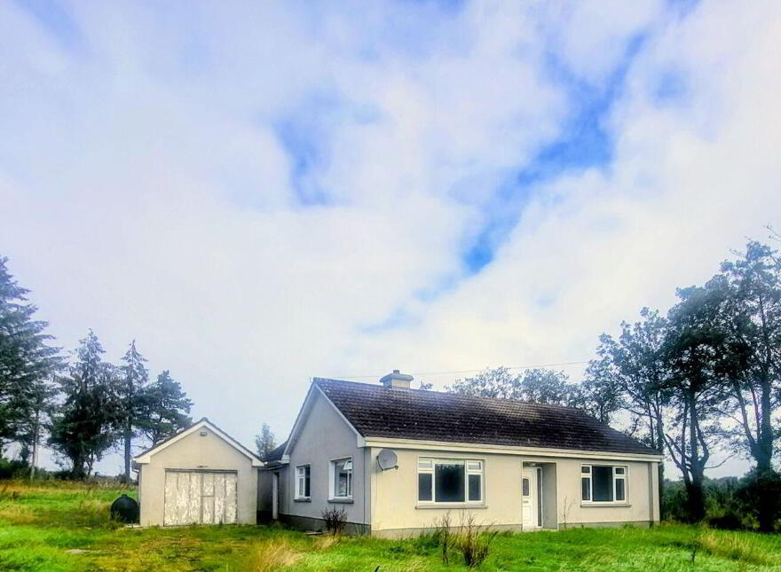 Adoon, Gorvagh, N41CD37