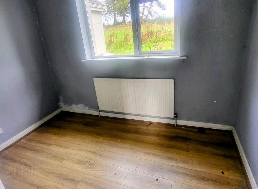 Adoon, Gorvagh, N41CD37