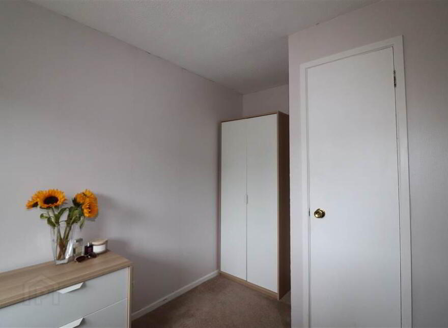 116 Hilden Court, Lisburn, BT27 4YW