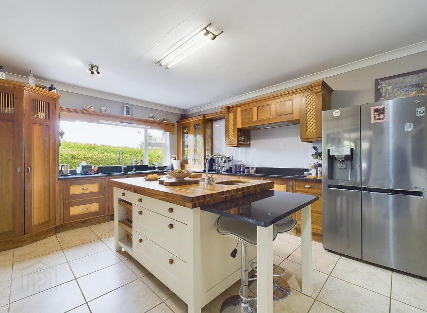 Rock Of Dunamaise, Dysart, Portlaoise, R32K681