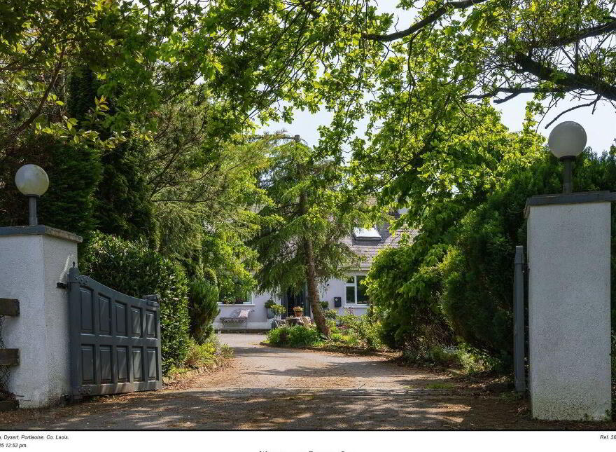 Rock Of Dunamaise, Dysart, Portlaoise, R32K681