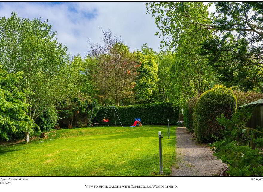 Rock Of Dunamaise, Dysart, Portlaoise, R32K681