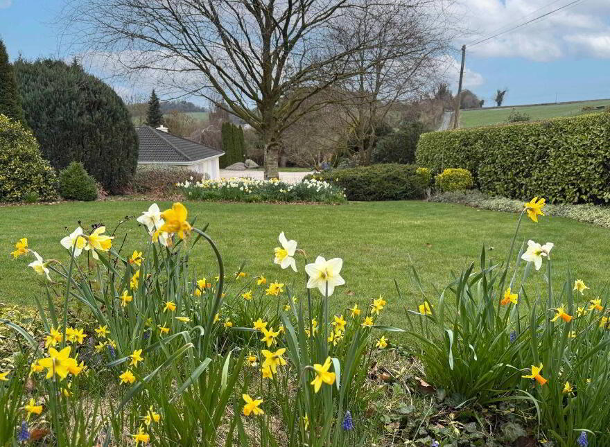 Robin Hill, Dunamase, Portlaoise, R32Y3YV