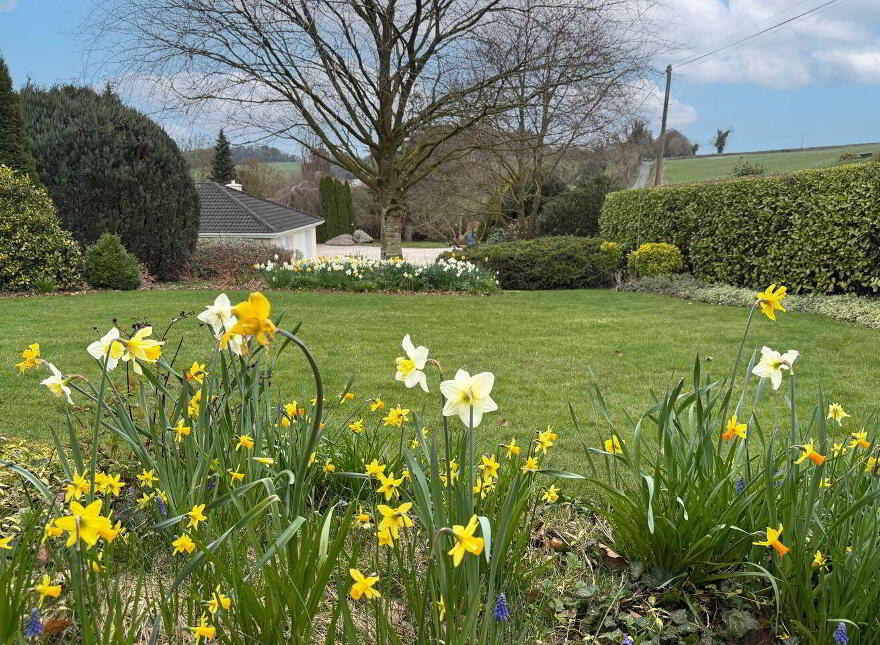 Robin Hill, Dunamase, Ballydavis, R32Y3YV